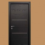 puerta-madera-moderna-san-luis-potosi